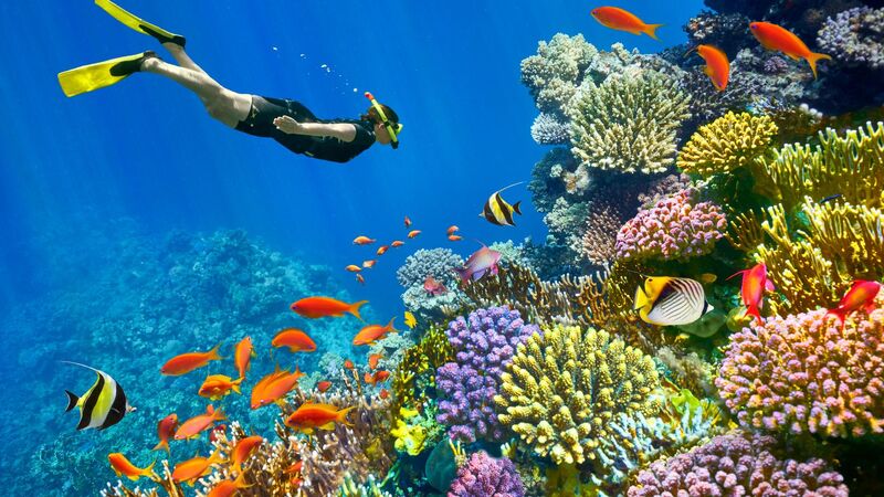 SHARM EL SHEIKH 2025-2026 4 gece