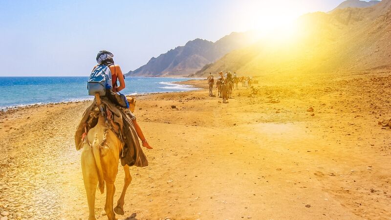 SHARM EL SHEIKH 2025-2026 4 gece