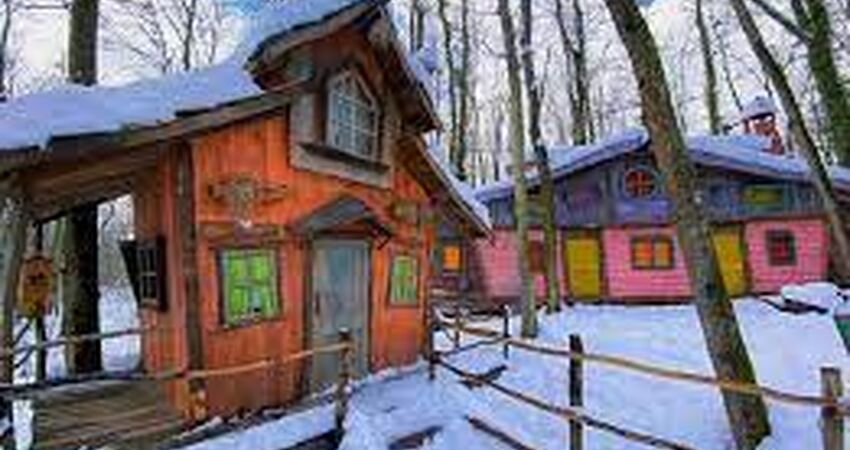 Abant Kartepe Uludağ Turu (3lü Kar Keyfi)