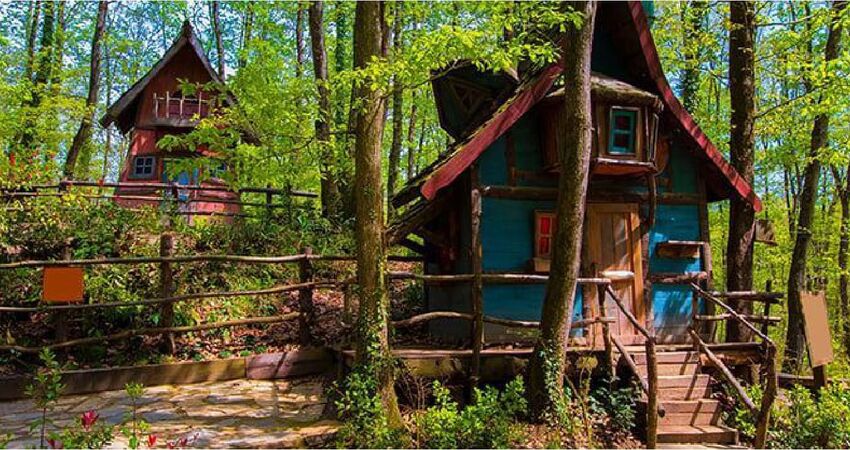 Şile Ağva Abant Gölcük Maşukiye Ormanya Gölyazı Turu