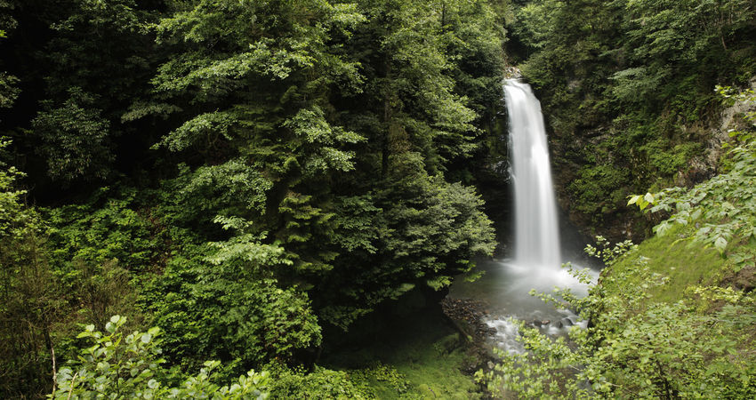 Karadeniz Yaylalar ve Batum Turu