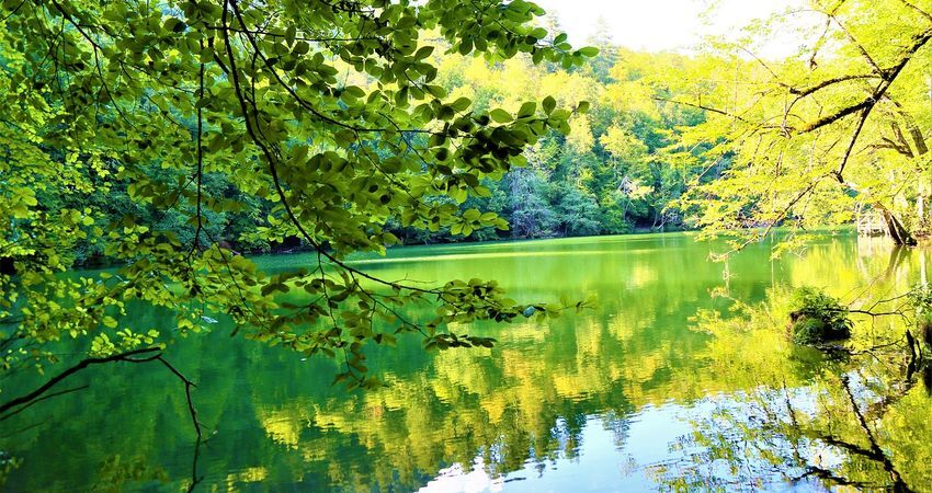 Batı Karadeniz, Şile Ağva ve Yedigöller Turu (Sezon ve Bayramlar 2 Gece Konaklamalı)
