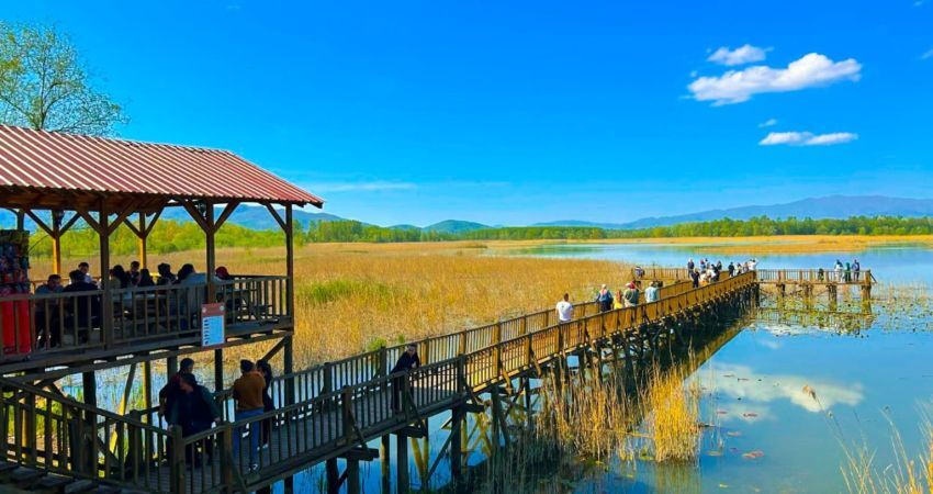 Göllerden Falezlere: Batı Karadeniz Esintisi Abant, Gölcük, Safranbolu, Zonguldak, Düzce