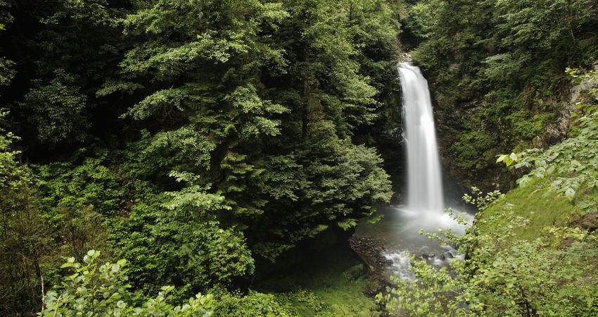 Uçaklı Karadeniz Yaylalar ve Batum Turu (5 Gün 4 Gece)