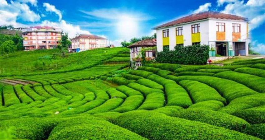 Yayla, Yayla Karadeniz Turu Batum Konaklamalı